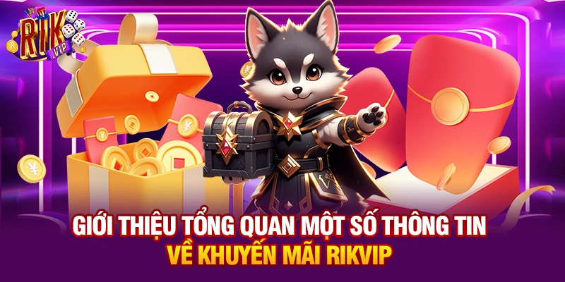 Giới thiệu tổng quan một số thông tin về khuyến mãi Rikvip